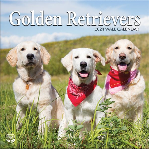 Lang Golden Retrievers Photo Wall Calendar Wayfair